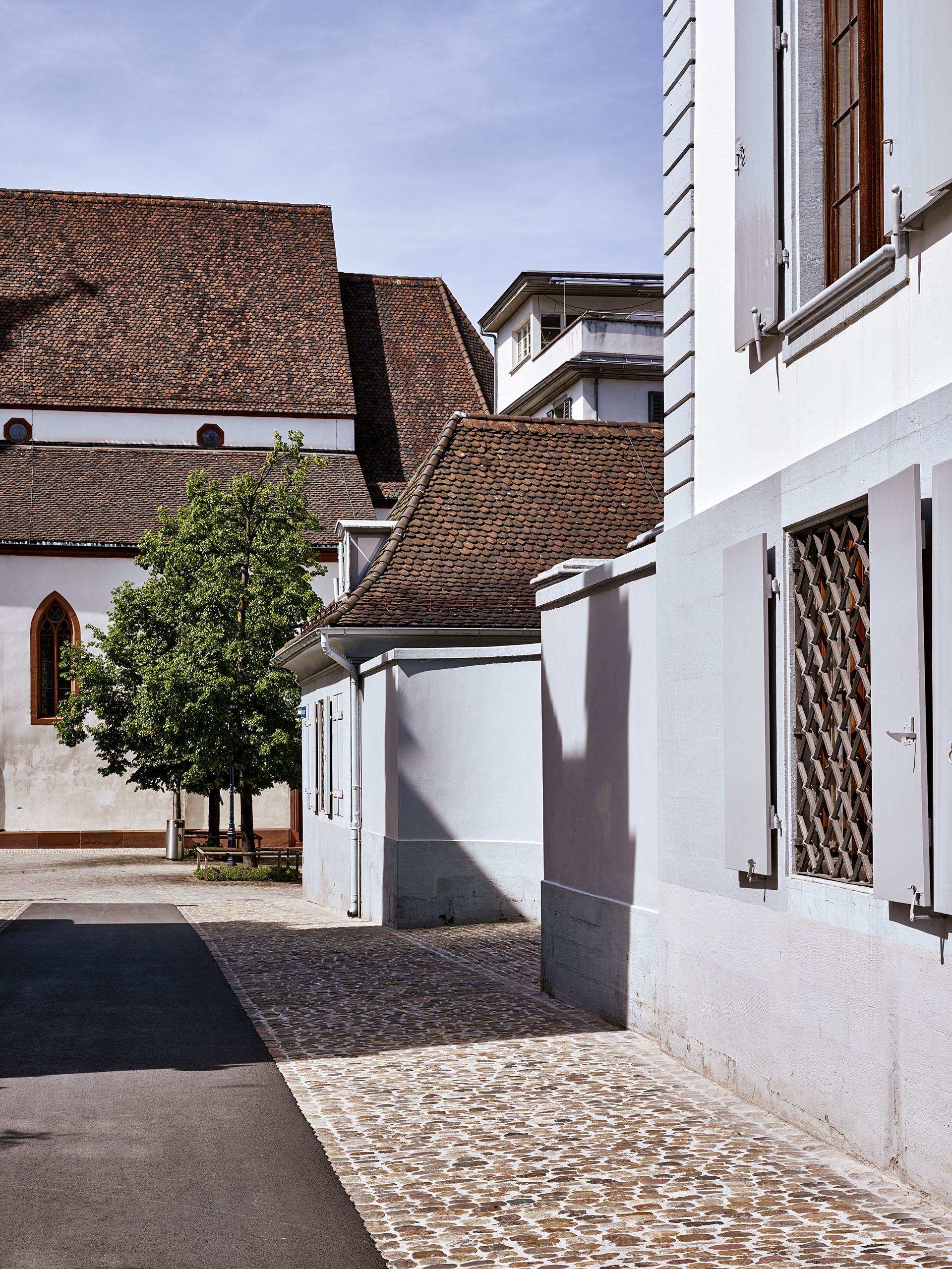 E12411 Alpa 050626 j2560